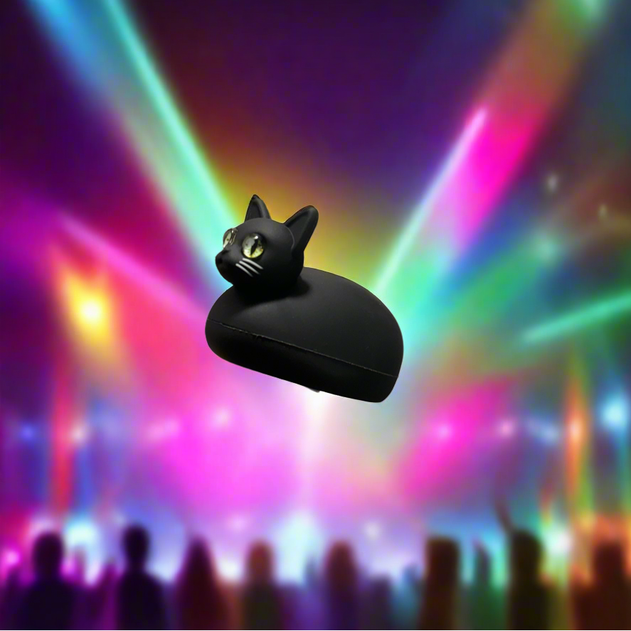 Cat fidget spinner toy - with built in sound