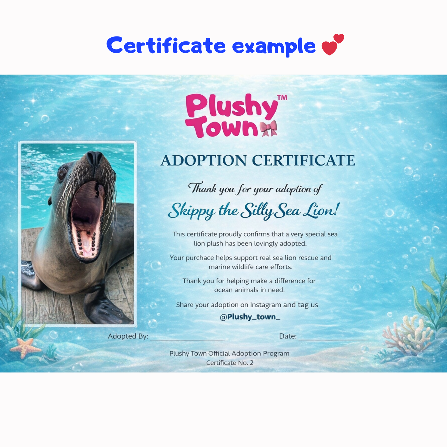 Skippy the silly sea lion - with built in sound!