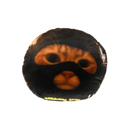 Catwifmask “ $MASK UP!” pillow