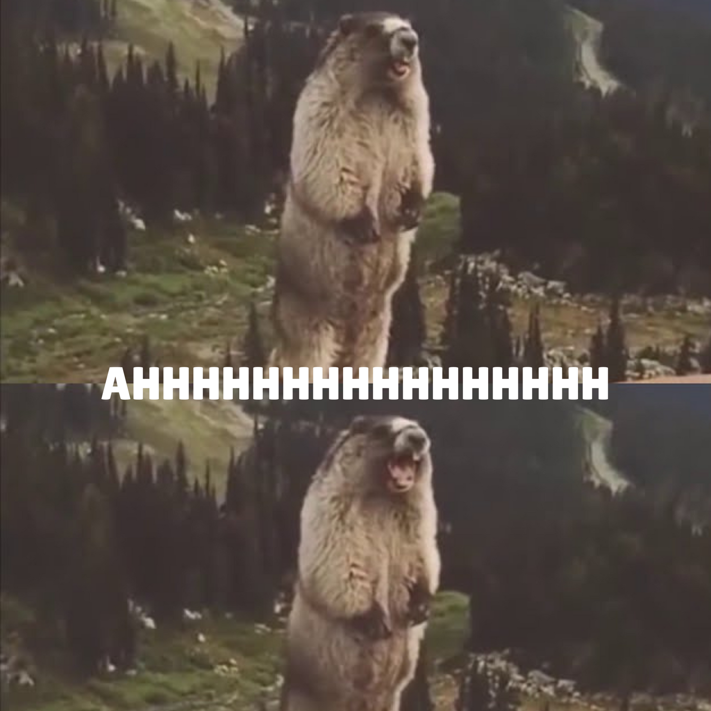 Seth the Screaming Groundhog - built in sound