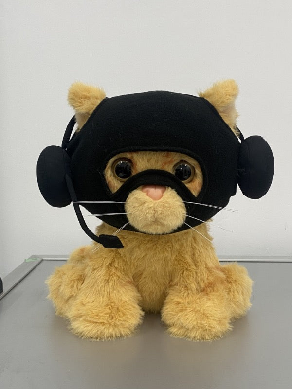 Catwifmask plush toy
