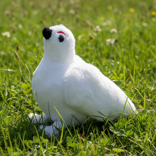 Awebo bird - with built in sound