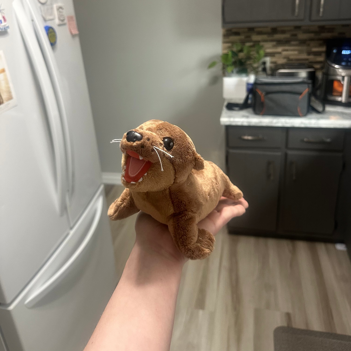 Skippy the silly sea lion - with built in sound!