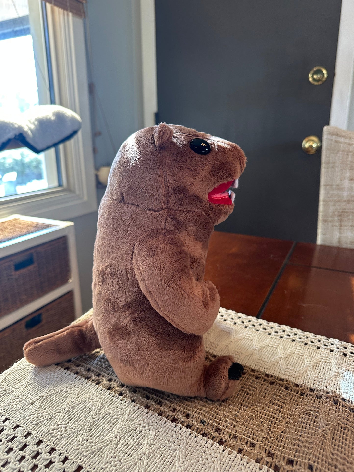 Seth the Screaming Groundhog - built in sound